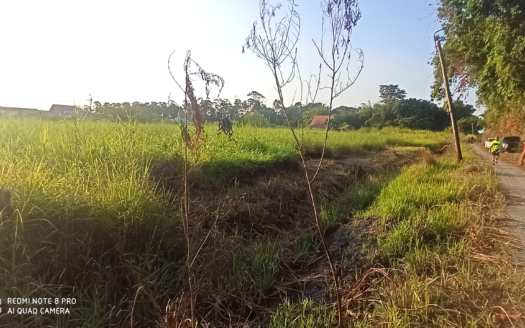 Perceelland aan de Spathodealaan