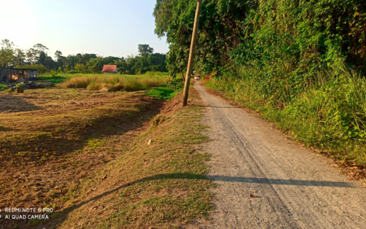 Perceelland aan de Spathodealaan