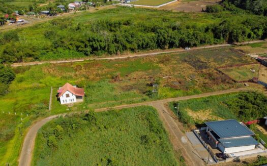 Perceelland aan de Spathodealaan